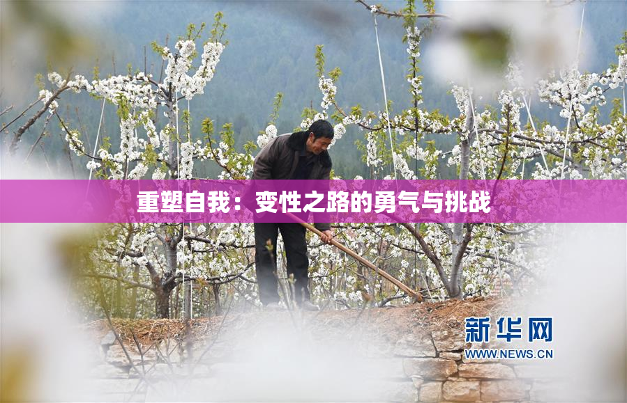 重塑自我：变性之路的勇气与挑战