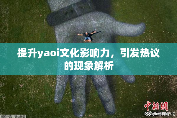 提升yaoi文化影响力，引发热议的现象解析