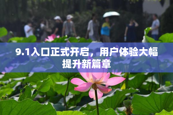 9.1入口正式开启，用户体验大幅提升新篇章