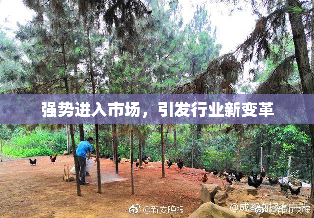 强势进入市场，引发行业新变革