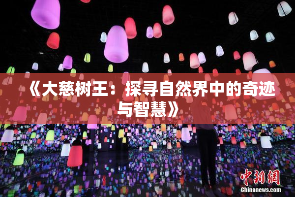 《大慈树王：探寻自然界中的奇迹与智慧》