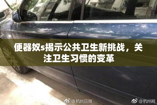 便器奴s揭示公共卫生新挑战，关注卫生习惯的变革