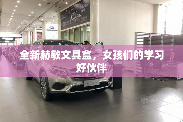 全新赫敏文具盒，女孩们的学习好伙伴