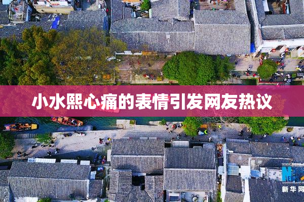 小水熙心痛的表情引发网友热议
