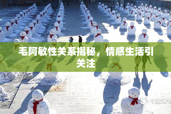 毛阿敏性关系揭秘，情感生活引关注