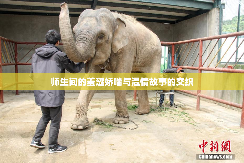 师生间的羞涩娇喘与温情故事的交织