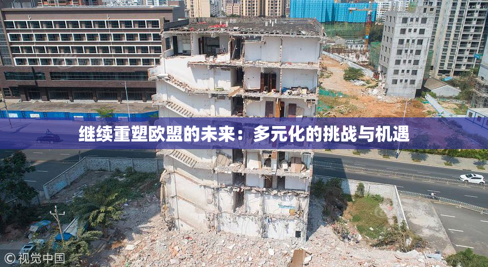 继续重塑欧盟的未来：多元化的挑战与机遇
