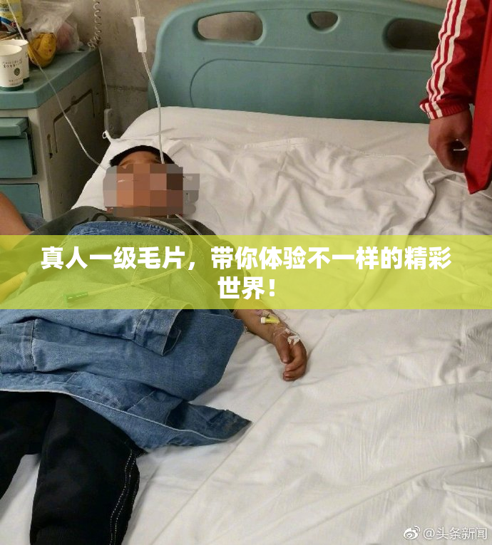 真人一级毛片，带你体验不一样的精彩世界！