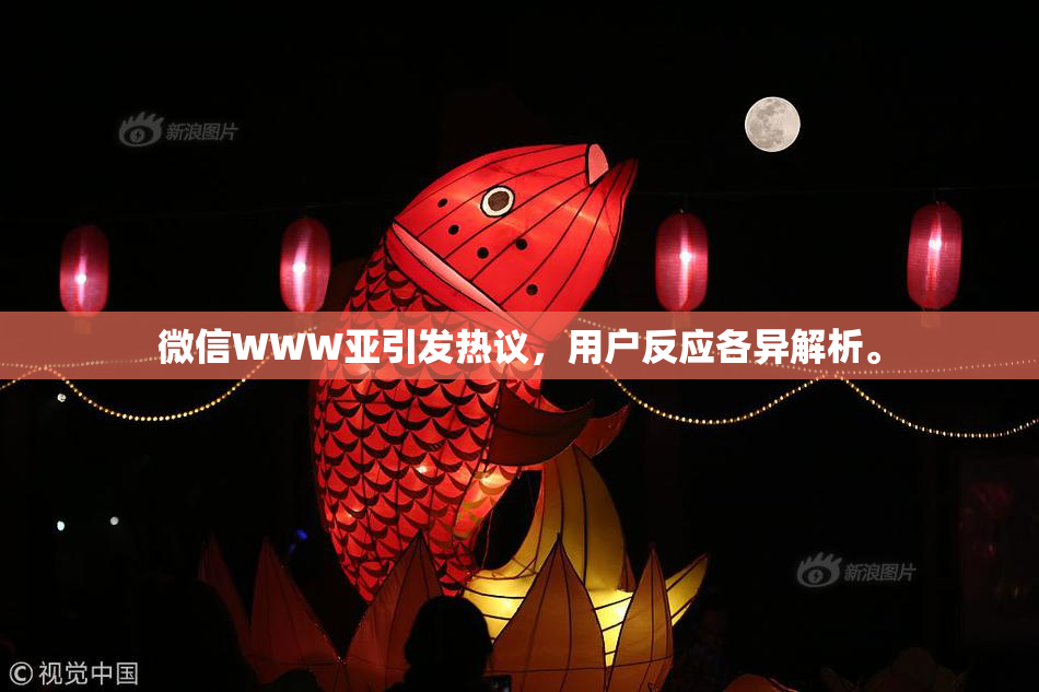微信WWW亚引发热议，用户反应各异解析。