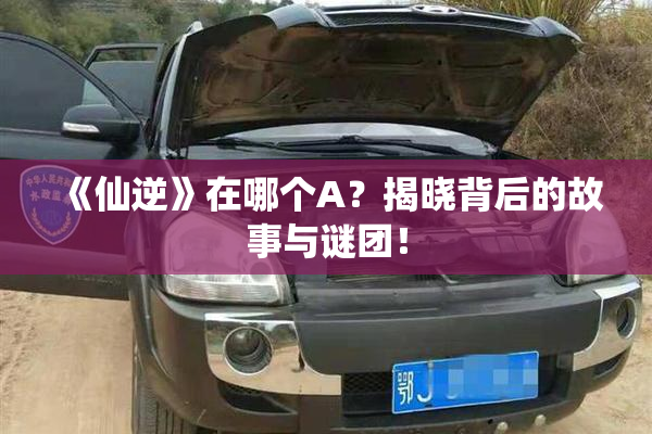 《仙逆》在哪个A？揭晓背后的故事与谜团！