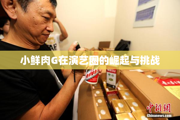 小鲜肉G在演艺圈的崛起与挑战
