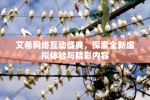 艾希网络互动盛典，探索全新虚拟体验与精彩内容