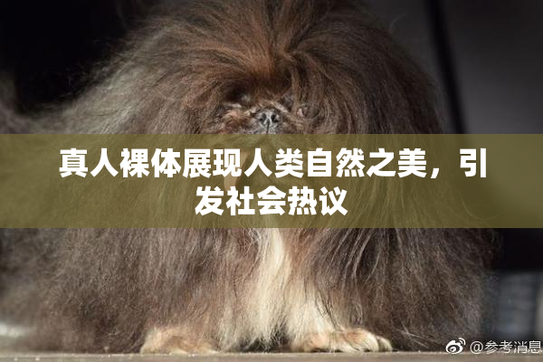 真人裸体展现人类自然之美，引发社会热议