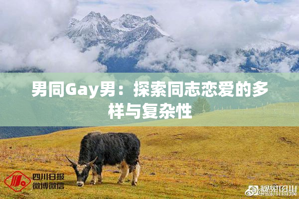 男同Gay男：探索同志恋爱的多样与复杂性