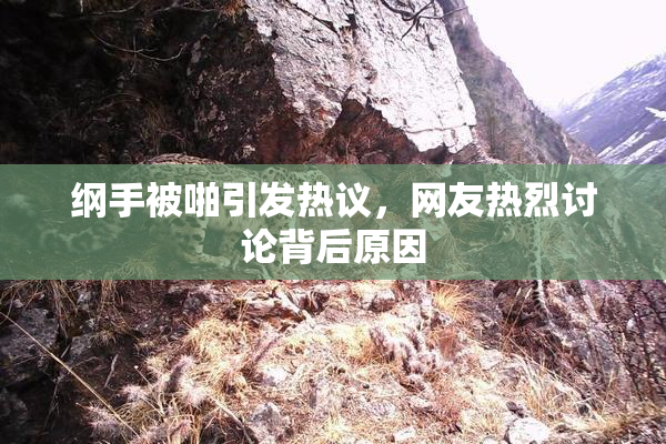 纲手被啪引发热议，网友热烈讨论背后原因
