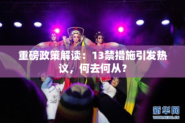 重磅政策解读：13禁措施引发热议，何去何从？