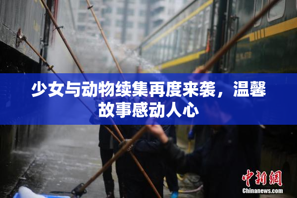 少女与动物续集再度来袭，温馨故事感动人心