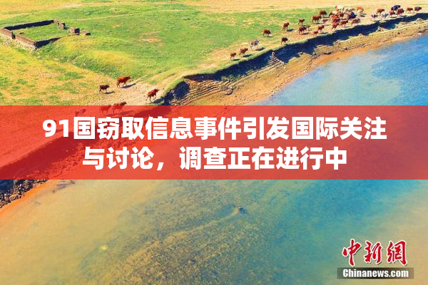 91国窃取信息事件引发国际关注与讨论，调查正在进行中