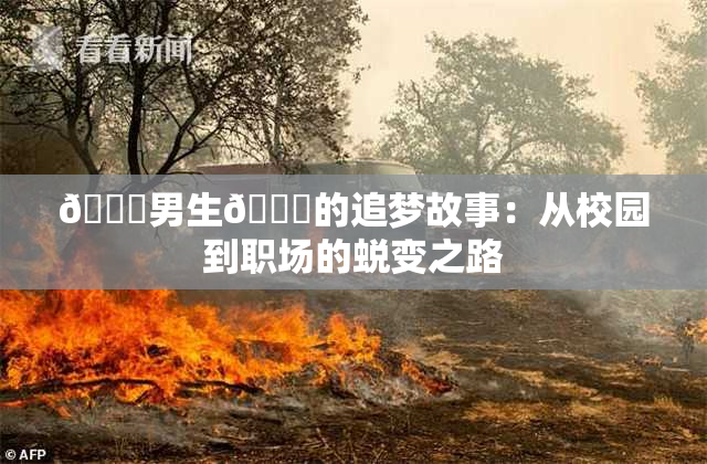 🔞男生🍆的追梦故事：从校园到职场的蜕变之路