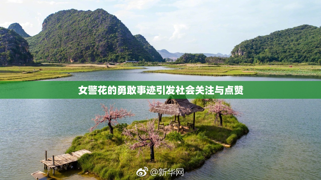 女警花的勇敢事迹引发社会关注与点赞