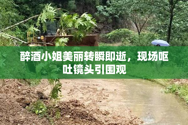 醉酒小姐美丽转瞬即逝，现场呕吐镜头引围观