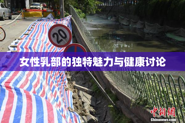 女性乳部的独特魅力与健康讨论