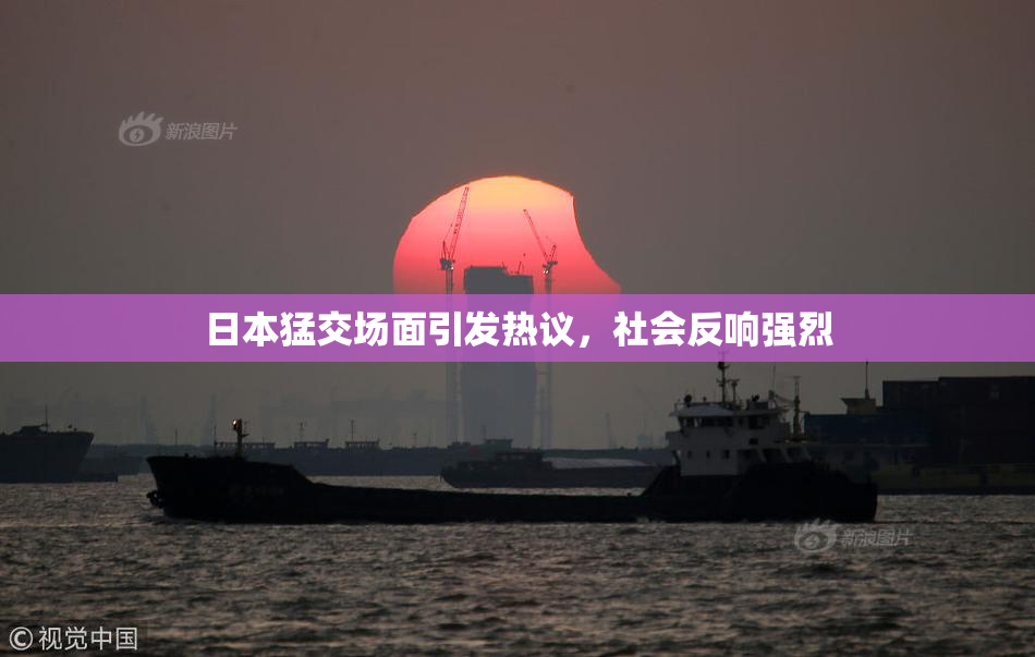 日本猛交场面引发热议，社会反响强烈