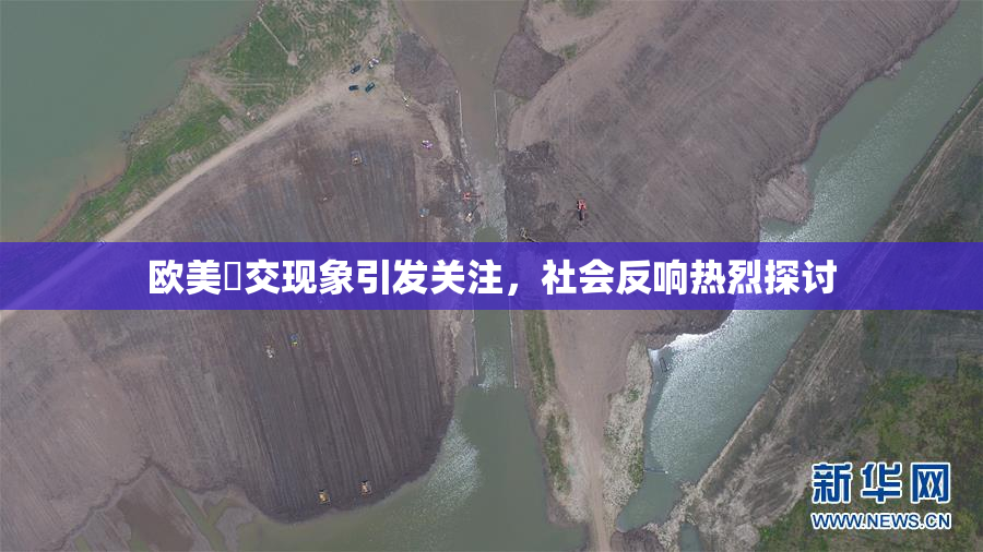 欧美嘼交现象引发关注，社会反响热烈探讨