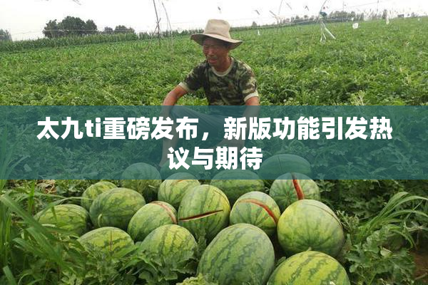 太九ti重磅发布，新版功能引发热议与期待