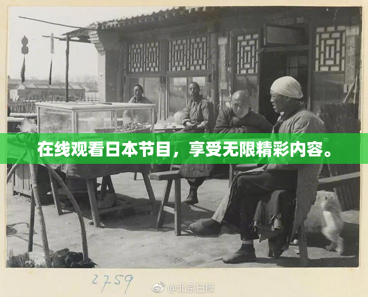 在线观看日本节目，享受无限精彩内容。
