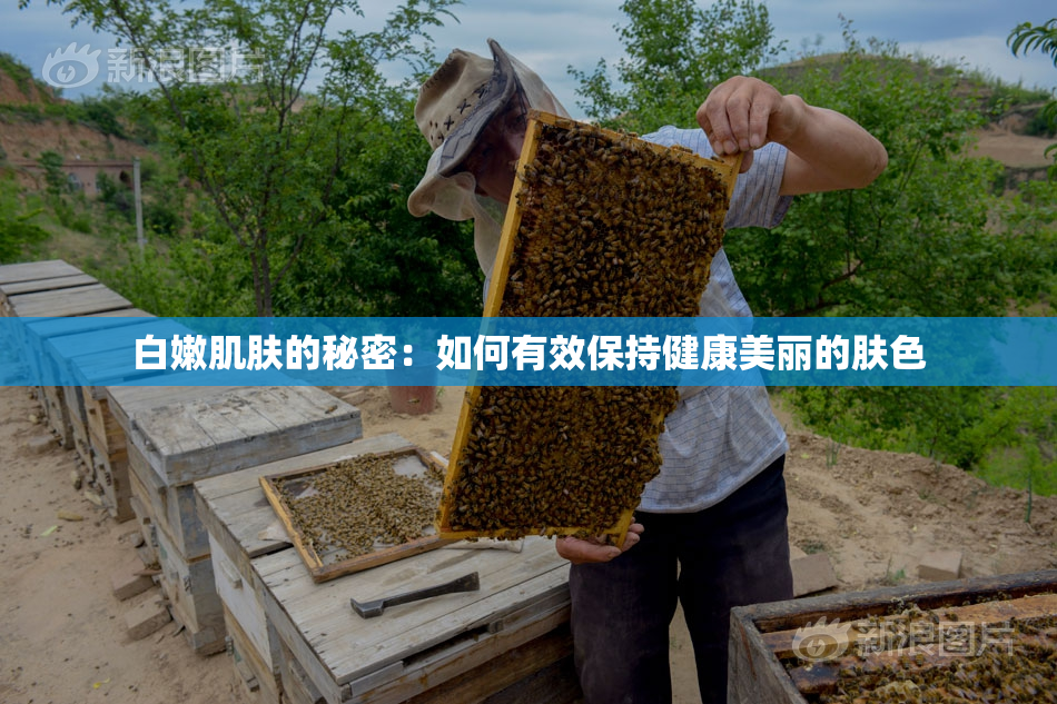 白嫩肌肤的秘密：如何有效保持健康美丽的肤色