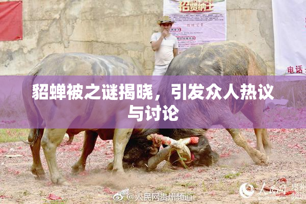 貂蝉被之谜揭晓，引发众人热议与讨论