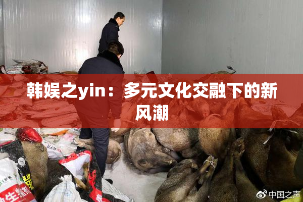 韩娱之yin：多元文化交融下的新风潮