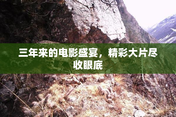 三年来的电影盛宴，精彩大片尽收眼底