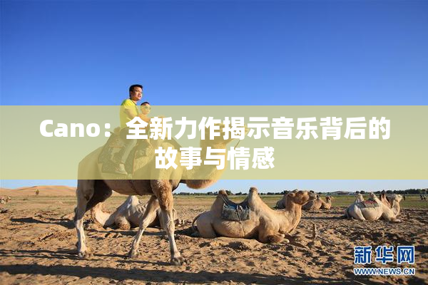 Cano：全新力作揭示音乐背后的故事与情感