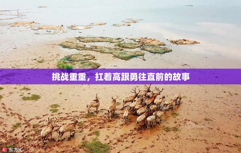挑战重重，扛着高跟勇往直前的故事