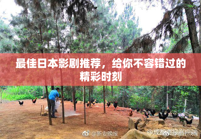 最佳日本影剧推荐，给你不容错过的精彩时刻