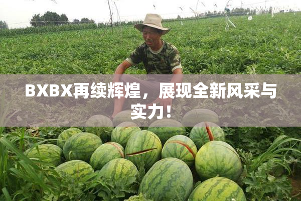 BXBX再续辉煌，展现全新风采与实力！