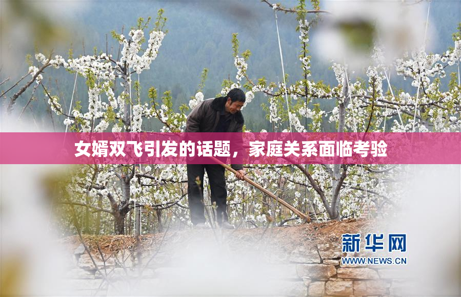 女婿双飞引发的话题，家庭关系面临考验