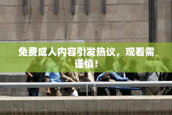 免费成人内容引发热议，观看需谨慎！