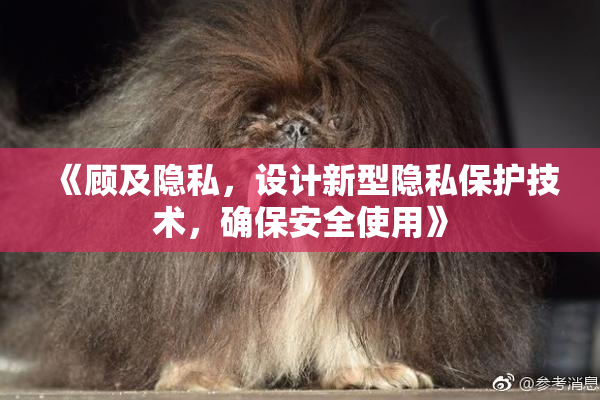 《顾及隐私，设计新型隐私保护技术，确保安全使用》
