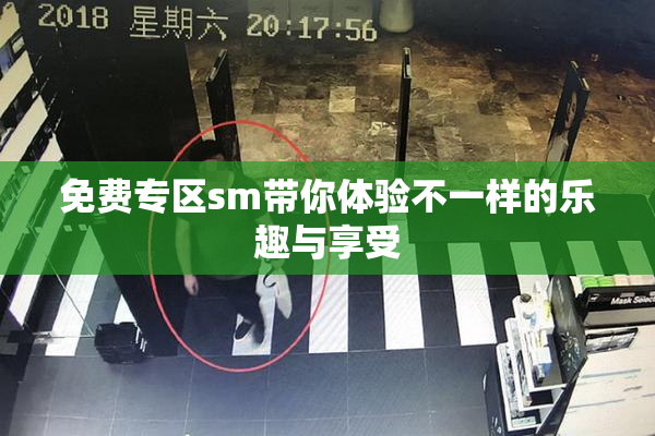 免费专区sm带你体验不一样的乐趣与享受