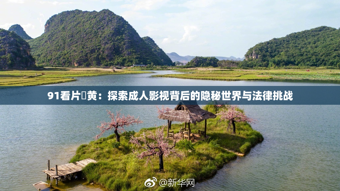 91看片婬黄：探索成人影视背后的隐秘世界与法律挑战