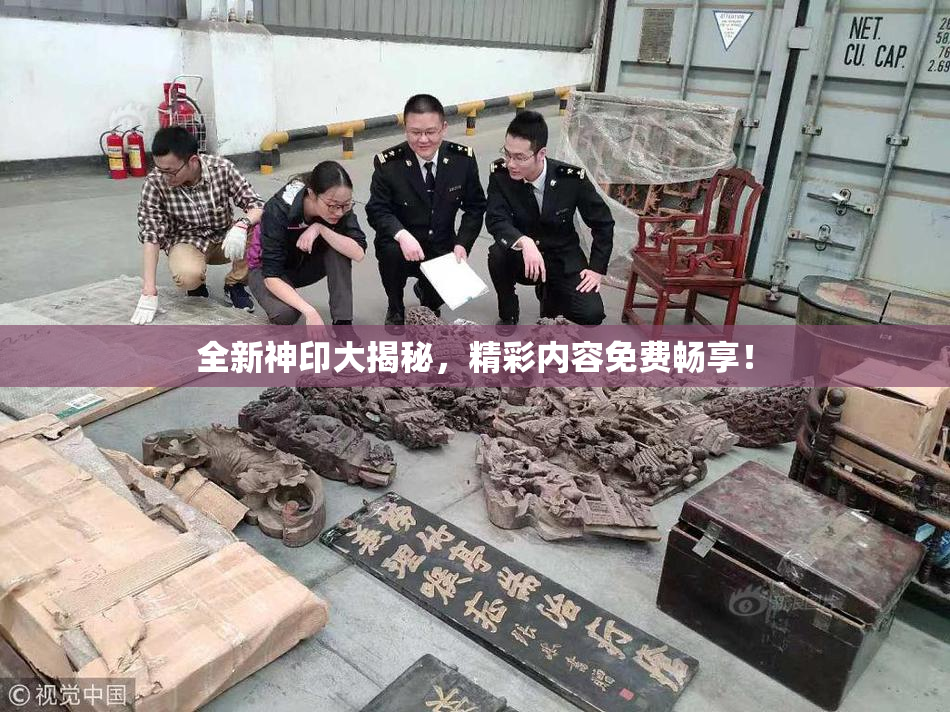 全新神印大揭秘，精彩内容免费畅享！