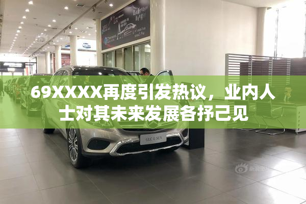 69XXXX再度引发热议，业内人士对其未来发展各抒己见