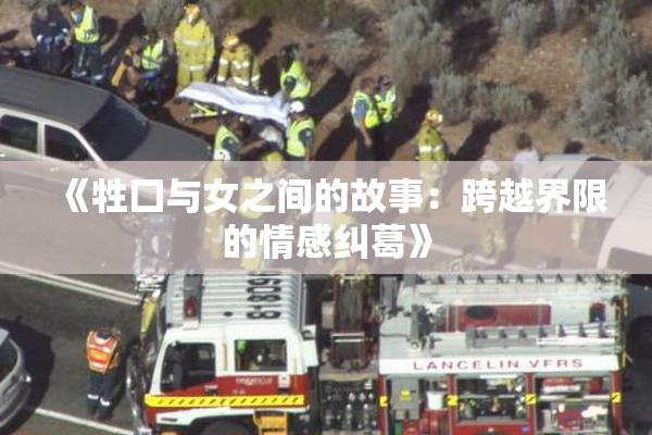 《牲囗与女之间的故事：跨越界限的情感纠葛》