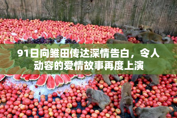 91日向雏田传达深情告白，令人动容的爱情故事再度上演
