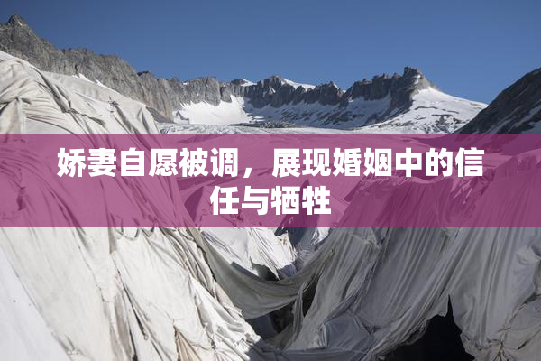 娇妻自愿被调，展现婚姻中的信任与牺牲