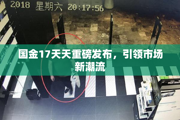 国金17天天重磅发布，引领市场新潮流