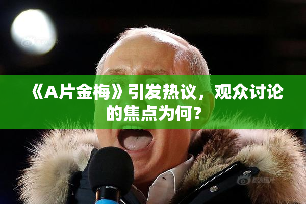 《A片金梅》引发热议，观众讨论的焦点为何？